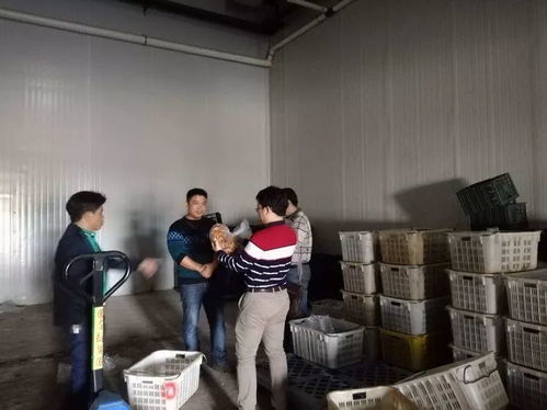 ?？谑乘幈O(jiān)局靠前服務(wù) 以專業(yè)指導(dǎo)賦能合作社農(nóng)產(chǎn)品深加工廠建設(shè)